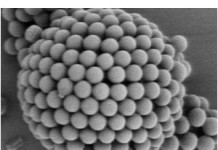 Trodimenzione neuralne mreže Koloidni kristal