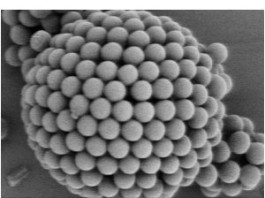 Trodimenzione neuralne mreže Koloidni kristal