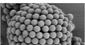 Trodimenzione neuralne mreže Koloidni kristal