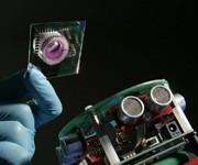 Robot sa biološkim mozgom: novo istraživanje koje pruža uvid u rad mozga robotandbrain.jpg