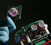 Robot sa biološkim mozgom: novo istraživanje koje pruža uvid u rad mozga robotandbrain.jpg