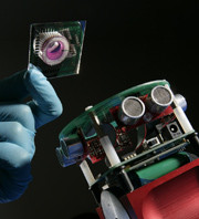 Robot sa biološkim mozgom: novo istraživanje koje pruža uvid u rad mozga robotandbrain.jpg
