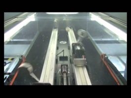 Manipulator žonglira sa pet loptica