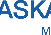 Industrijski matrix drajv sa smanjenim sekundarnim frekvencijama i sposobnostima obnavljanja snage