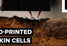 Da li možete da zamislite da 3D štampač može da leči rane?!