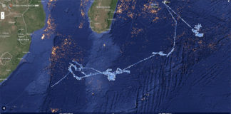 Kako pratiti ilegalno pecanje ribe u okeanima širom Zemlje