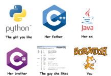 Programeri i devojke