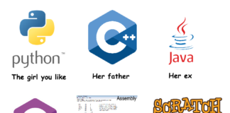 Programeri i devojke