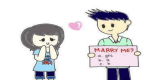 Bračna ponuda i mit o inženjerima