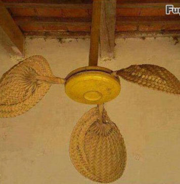 Ventilator
