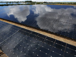 Najveća britanska solarna kompanija radi na globalnim projektima vrednim preko 3 miliona funti