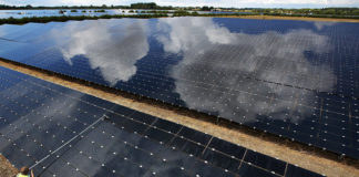 Najveća britanska solarna kompanija radi na globalnim projektima vrednim preko 3 miliona funti