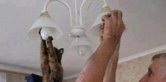 Pomoć uvek dobro dođe!