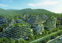 Kineski šumski grad sa preko milion biljaka i čistom energijom