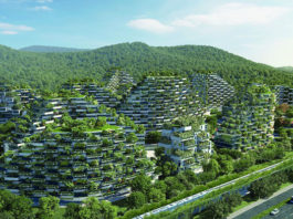 Kineski šumski grad sa preko milion biljaka i čistom energijom