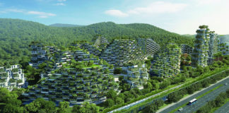 Kineski šumski grad sa preko milion biljaka i čistom energijom