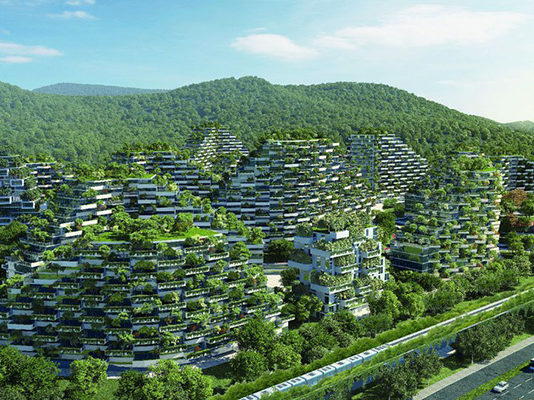 Kineski šumski grad sa preko milion biljaka i čistom energijom