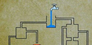 Mozgalica – Koja će se časa prva napuniti?