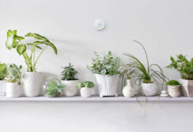 Nest pametni termostat ima neke nedoumice vezane za Google smart home plan