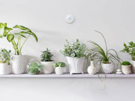 Nest pametni termostat ima neke nedoumice vezane za Google smart home plan