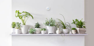 Nest pametni termostat ima neke nedoumice vezane za Google smart home plan