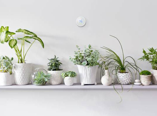 Nest pametni termostat ima neke nedoumice vezane za Google smart home plan