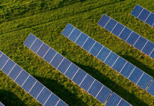 Opština Žabalj dobija solarnu elektranu kapaciteta 80MW