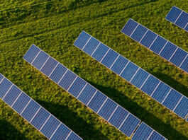 Opština Žabalj dobija solarnu elektranu kapaciteta 80MW