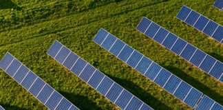 Opština Žabalj dobija solarnu elektranu kapaciteta 80MW