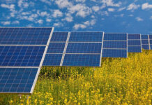 Subotica odvojila 80 hektara zemljišta za solarne elektrane