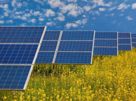 Subotica odvojila 80 hektara zemljišta za solarne elektrane