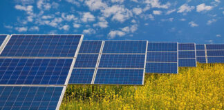 Subotica odvojila 80 hektara zemljišta za solarne elektrane