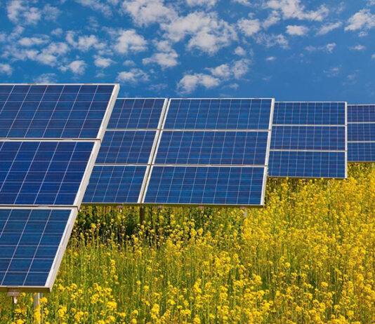 Subotica odvojila 80 hektara zemljišta za solarne elektrane