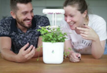 Ukoliko niste čuli, UrbiGo je prvi robot koji gaji vaše omiljene biljke