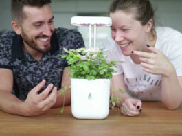 Ukoliko niste čuli, UrbiGo je prvi robot koji gaji vaše omiljene biljke