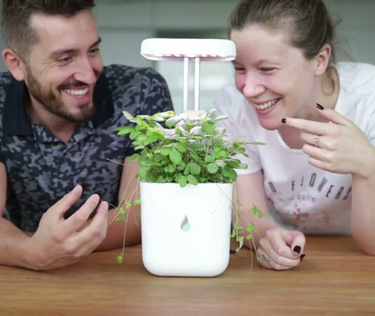 Ukoliko niste čuli, UrbiGo je prvi robot koji gaji vaše omiljene biljke